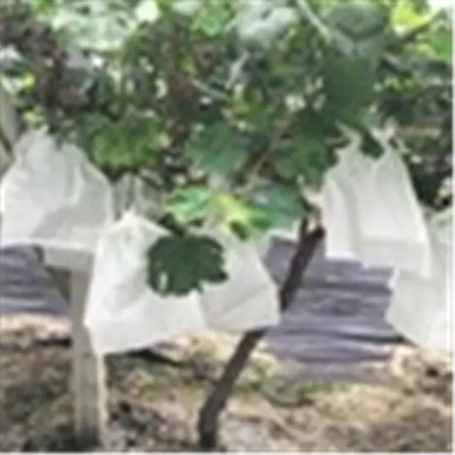 UVBiodegradable ppnonwoven fabricagricultural fruit protection fabric