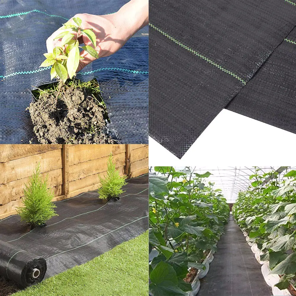 Eco-friendly Bio-degradable 100% Polypropylenenon woven fabric for agriculture Weed barrier/ weed control