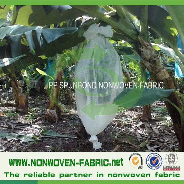 Best Sale Agricultural PP Spunbond Nonwoven Fabric for Plant Cover and Fruit Protection Bag