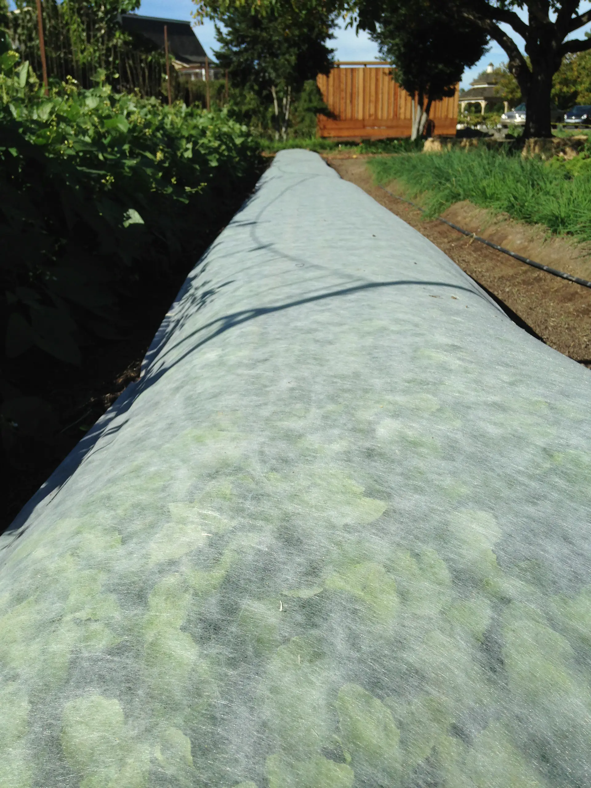 high quality uv 100%pp spunbond nonwoven fabric for plant cover