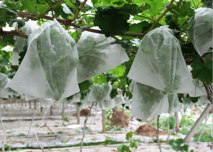 Banana/grapefruit cover 100% PP spunbond nonwoven fabric for agriculture fruit cover