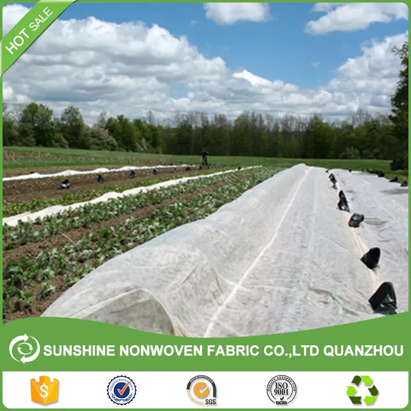 UV resistant pp spunbond non woven fabric for agriculture cover Agricultural Weed Mat
