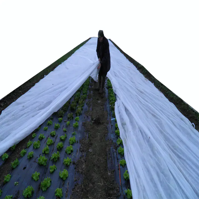 UV ,weed control agriculture non woven fabric White Agriculture Ground Coverweed killer