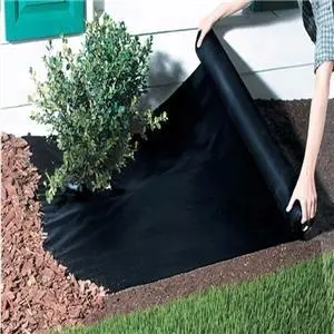 Eco-friendly Bio-degradable 100% Polypropylenenon woven fabric for agriculture Weed barrier/ weed control
