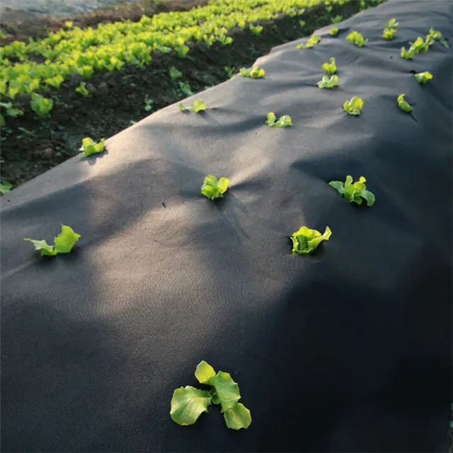Bio-degradable PP nonwoven fabric for ground cover/Weed barrier/ weed control