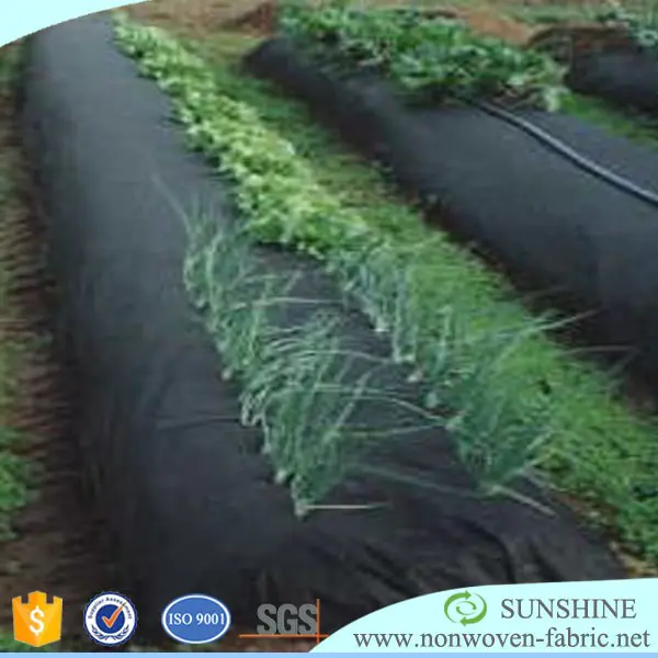 low pricefruit protection bags 100% PP spunbond uv non woven fabric for agriculture