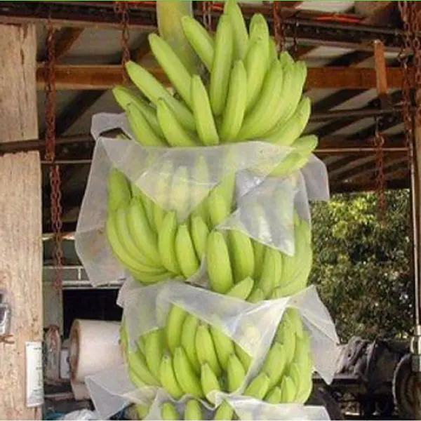 Factory Wholesale 100%PP Non Woven Fabric Banana/Apple Bag Cover Fruit Cover Bag