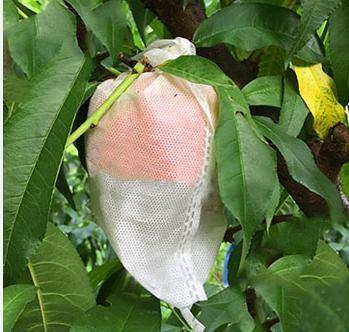 Eco-Environmental 100% Polypropylene Nonwoven Fabric for Agricultural Banana Bag/Apple Bag