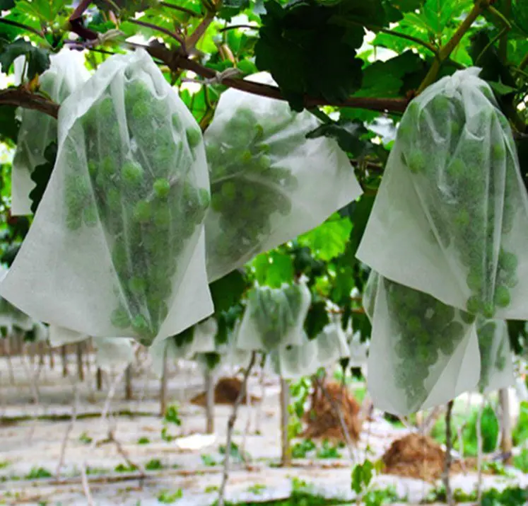 Eco-Environmental 100% Polypropylene Nonwoven Fabric for Agricultural Banana Bag/Apple Bag