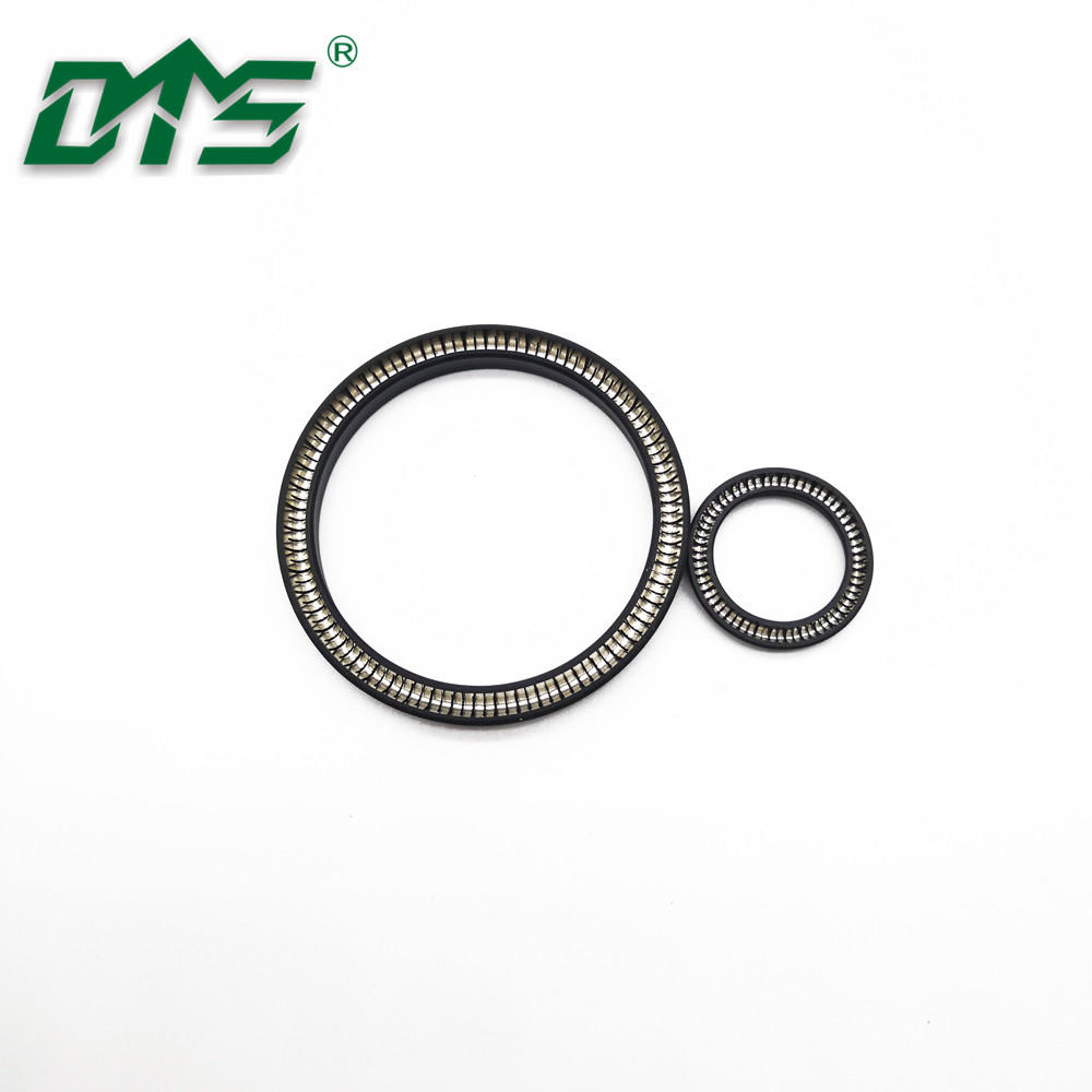 Double Lip Oil Seal Spring Energized Lip Seal