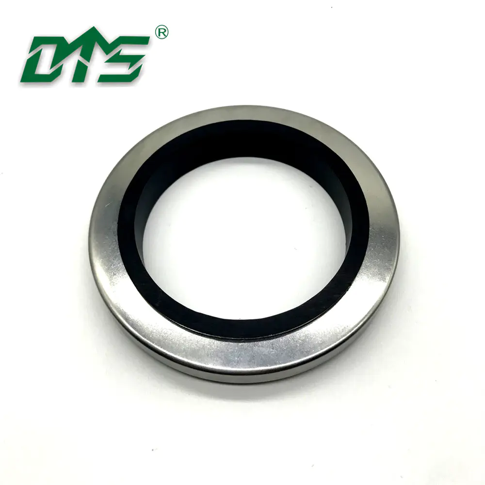 Customize PTFE double lips stainless steel hydraulic oil seal LA