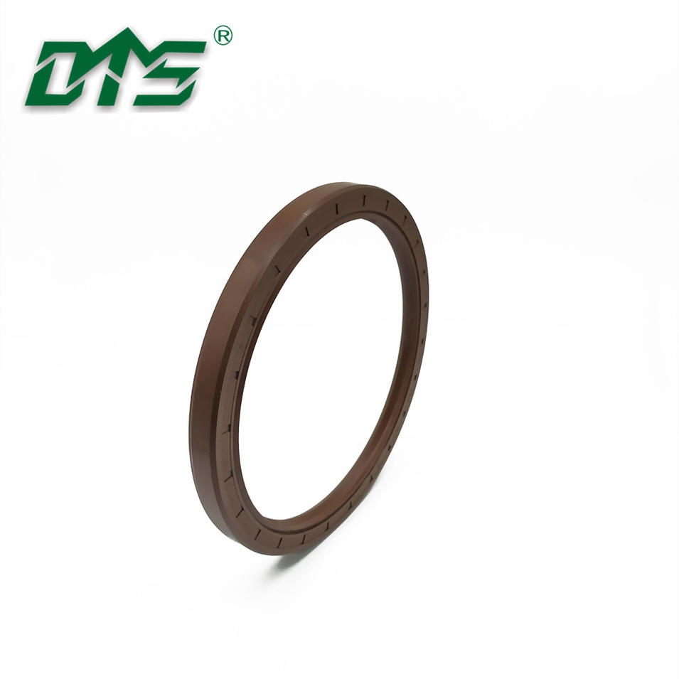 Engine Gearbox FKM Rubber Lips Spring Loaded Oil Seals TC