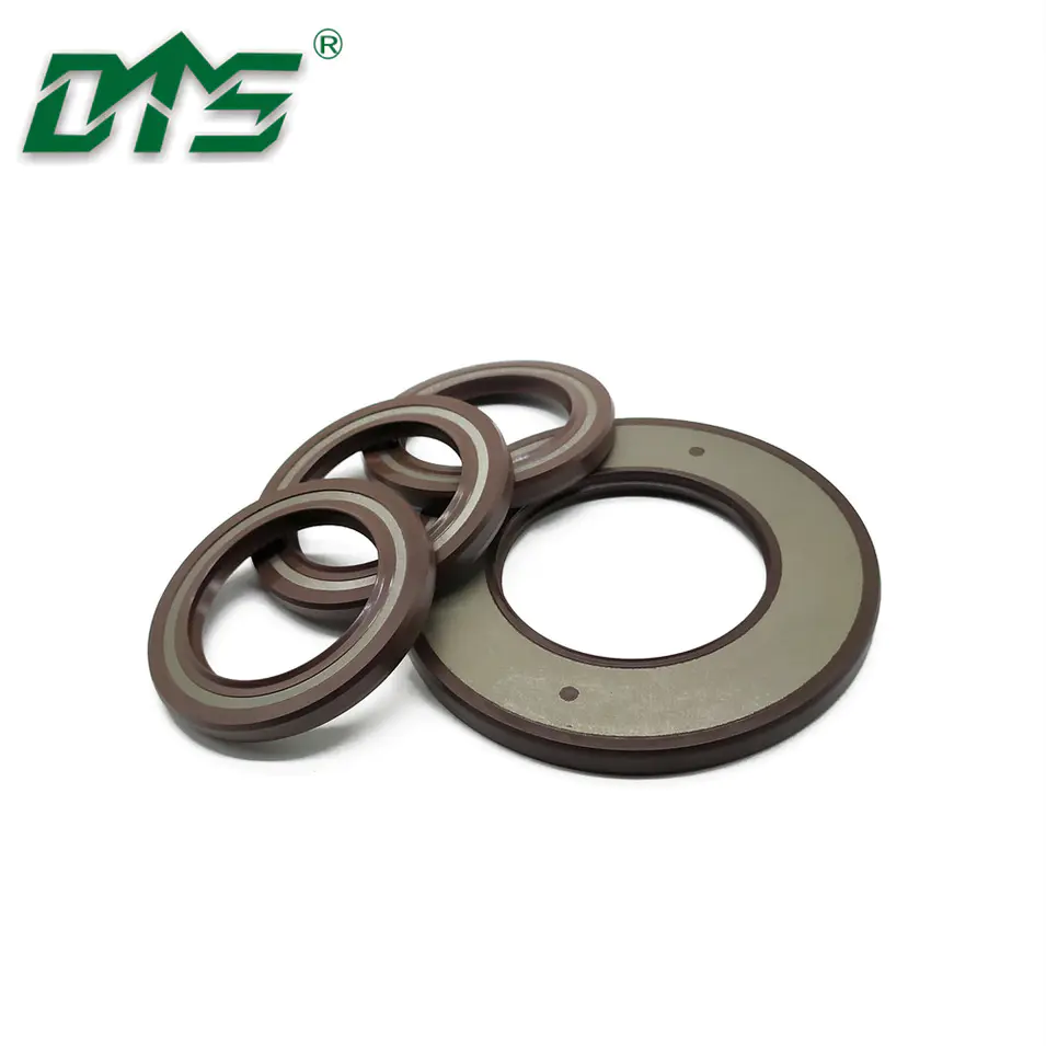 TCV FKM Dual Lips Oil Seals with Spring Loaded