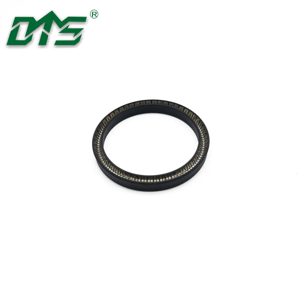 Double Lip Oil Seal Spring Energized Lip Seal