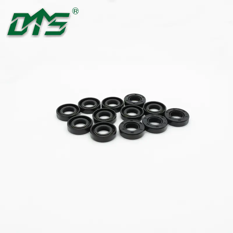 Small Sizes Shaft Oil Seal TC With NBR Rubber Case and Stainless Steel