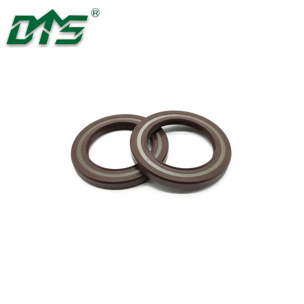 China Manufacture Skeleton Oil Seal TCV Rubber FKM/FPM Hydraulic Seal