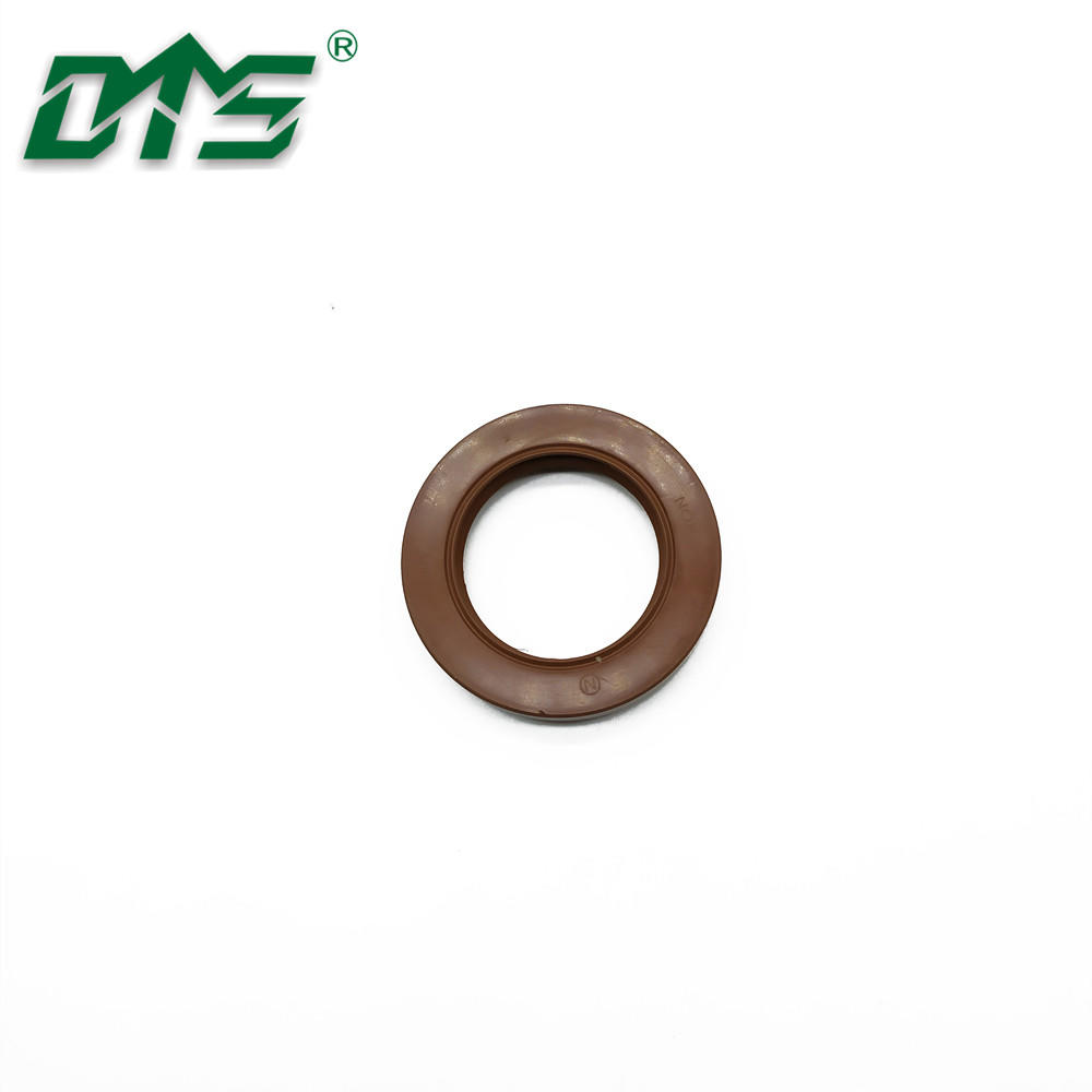 Rubber FPM FKM Tcn Oil Seal Skeleton Shaft Seal for Hydraulic Customized
