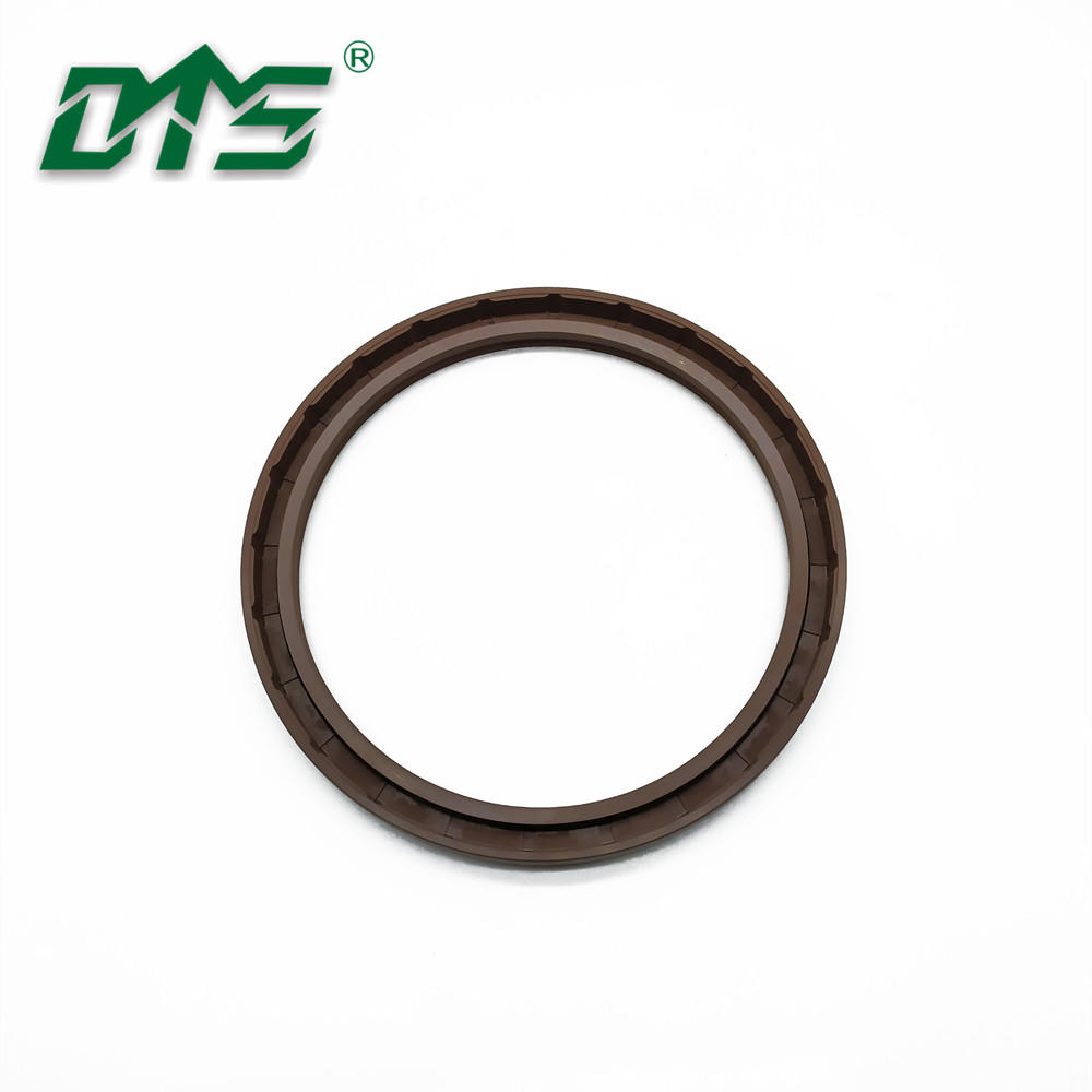 Engine Gearbox FKM Rubber Lips Spring Loaded Oil Seals TC