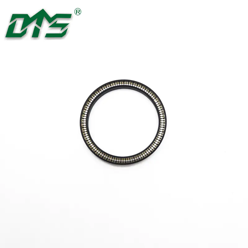Double Lip Oil Seal Spring Energized Lip Seal
