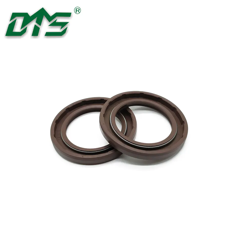 TCV FKM Dual Lips Oil Seals with Spring Loaded