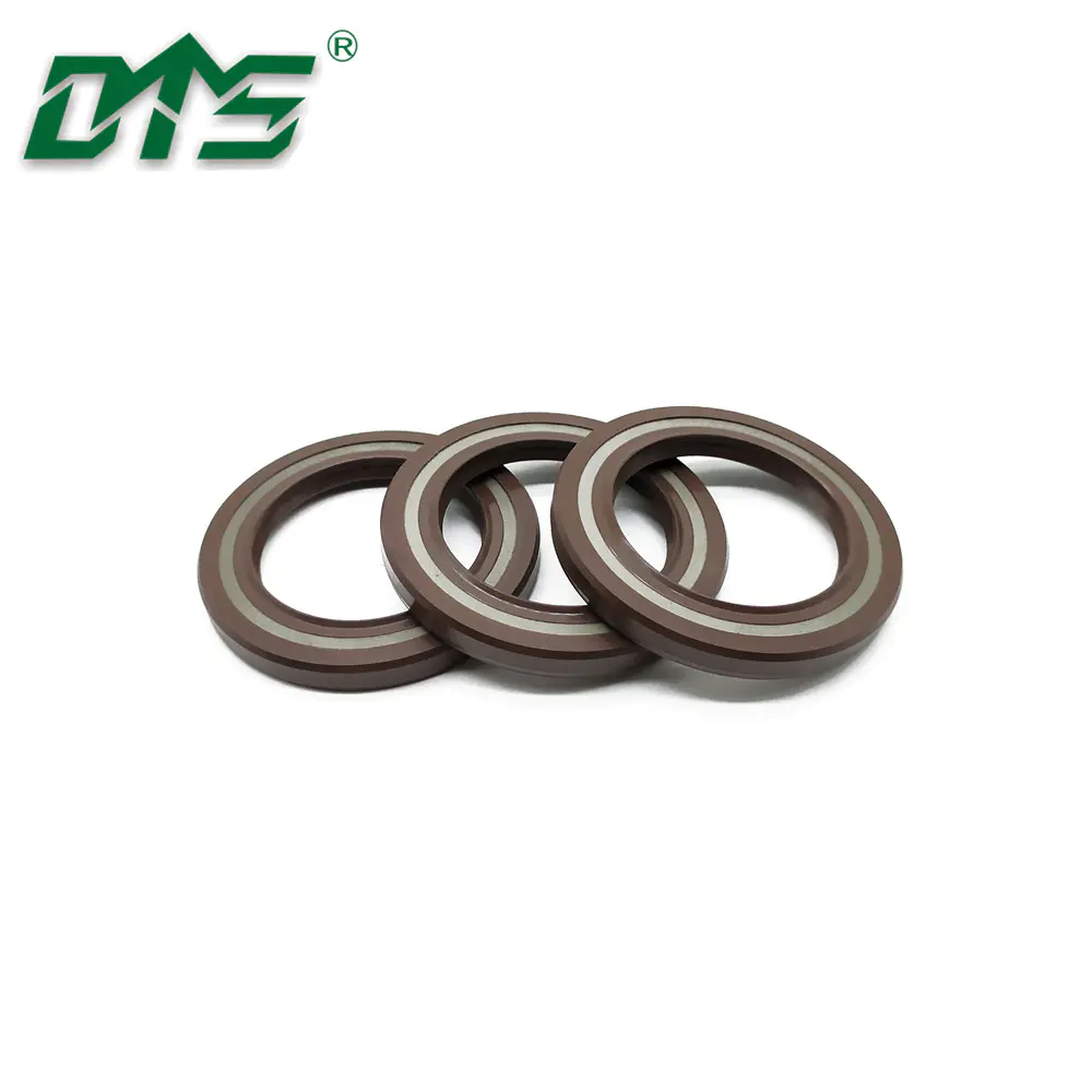High Quality Rubber FKM TCV Oil Seal Skeleton Shaft Seal for Hydraulic Customized