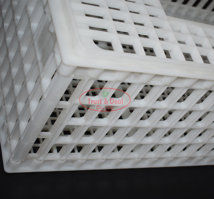 Farming equipment plastic transport chicken crate