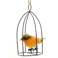 OsgoodwayFactory Price CutePlastic Bird in Metal Bird birdcage FittingsGarden decoration
