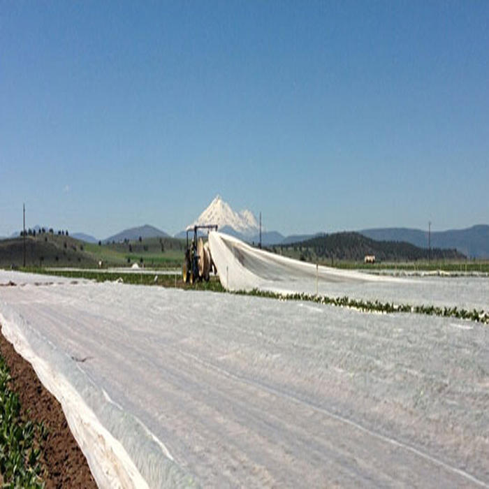 100% PP spunbond non woven fabric for agriculture Anti UV polypropylene nonwoven fabric crop cover