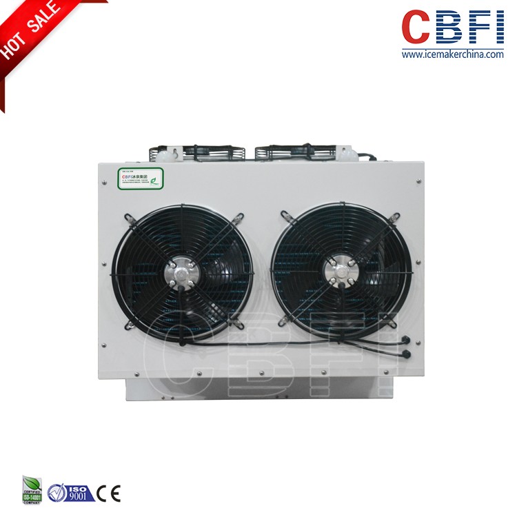30 cubic meter Cold Storage Bitzer cooling fan