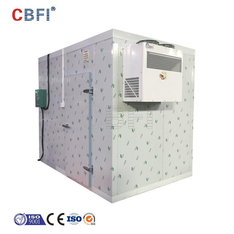 Industrial blast freezer meat storage cold cool room for sale
