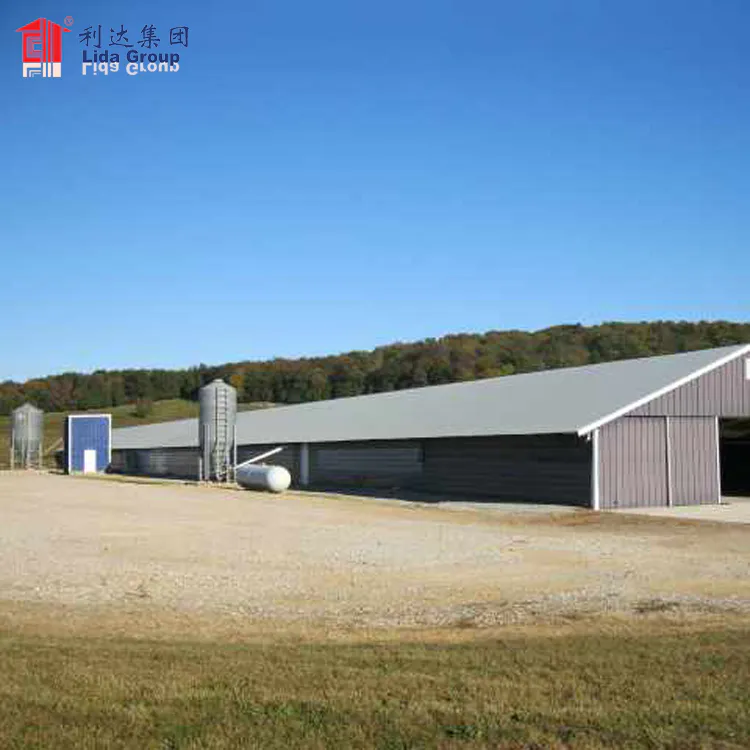 Chicken farm shed, chicken farm design