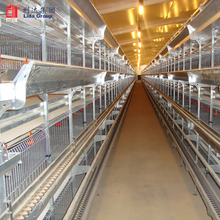 Climate control poultry farming for Lebanon