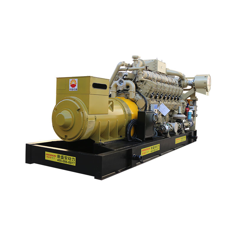 24v Electric Start 400v/230v XSA-1000GFQ Natural Gas Generating Set