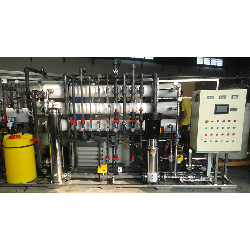 6000L/Hr RO+EDI deionization water purification RO system plant