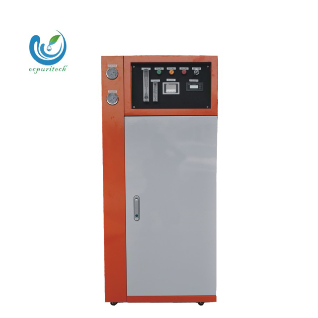 Small Capacity 70 Liters RO Deionizer Water Plant/Equipment/Machine