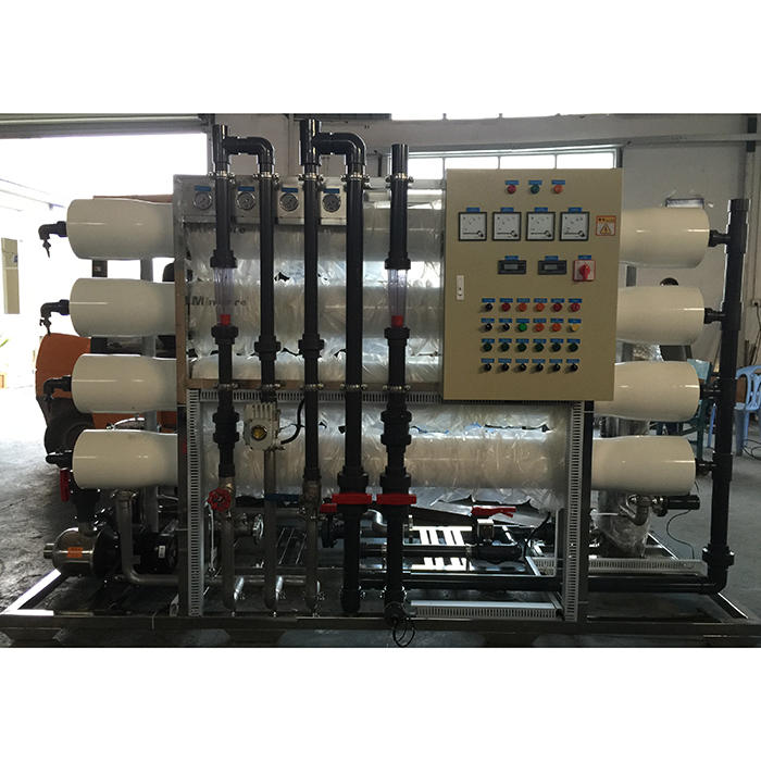 3000lph 2-pass Reverse Osmosis Membrane Water Purifier and EDI System