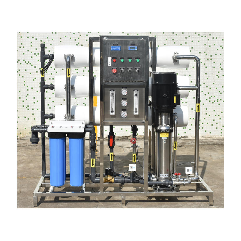 3000LPH Reverse osmosis auto ro plant for water treatment
