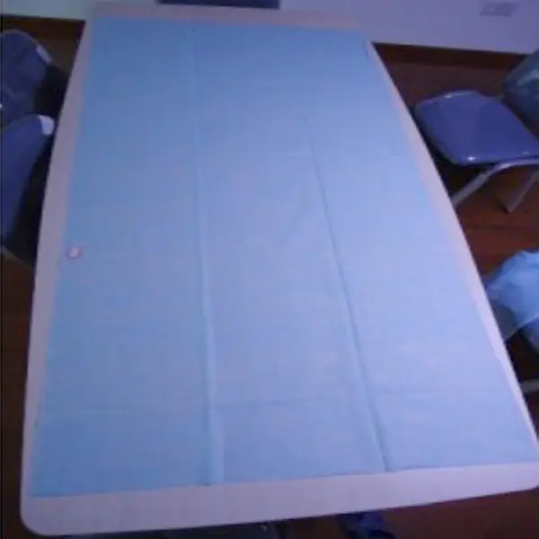 Nonwoven Medical Disposable Bed Sheets/Bed Cover