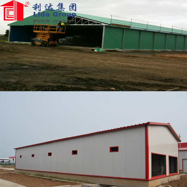 Qingdao low cost steel structure prefabricated building design poultry house farming shed for Dominica 106*13*4m