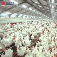 Free range poultry house, poultry broiler house