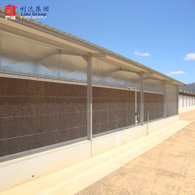 Open side poultry house type poultry farming shed, environmental control poultry house, types of roofs for poultry houses