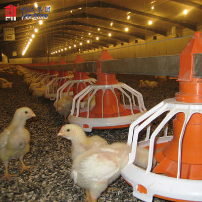 SGS test high quality heat proof alkyd painting prefabricated poultry farm shed house supplies