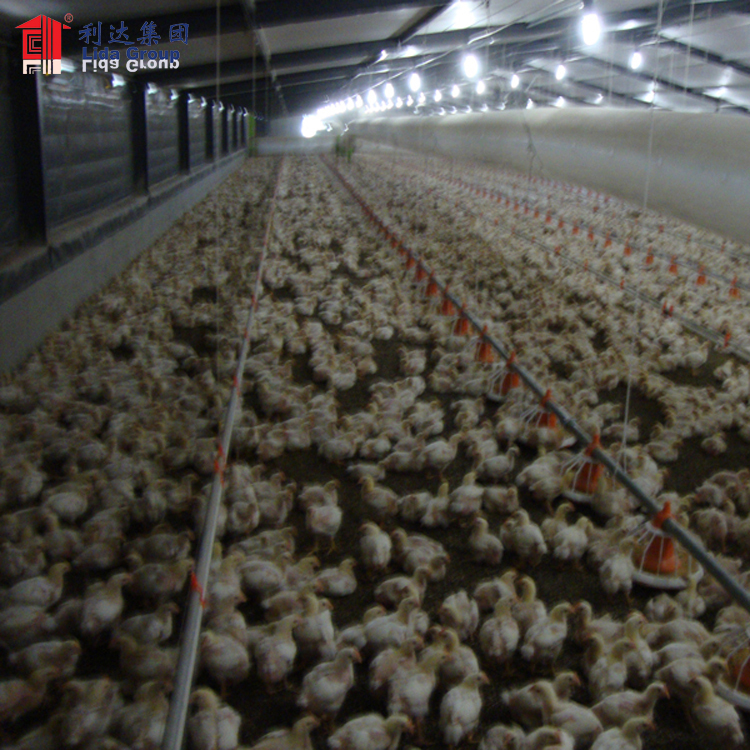 poultry farm management pdf