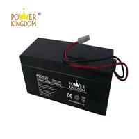 Power Kingdom 24v lead acid battery
