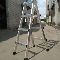 Lighthousehold walking aluminium ladder