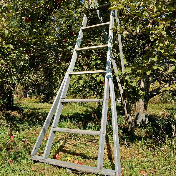 Aluminium tripod ladders garden aluminum ladder