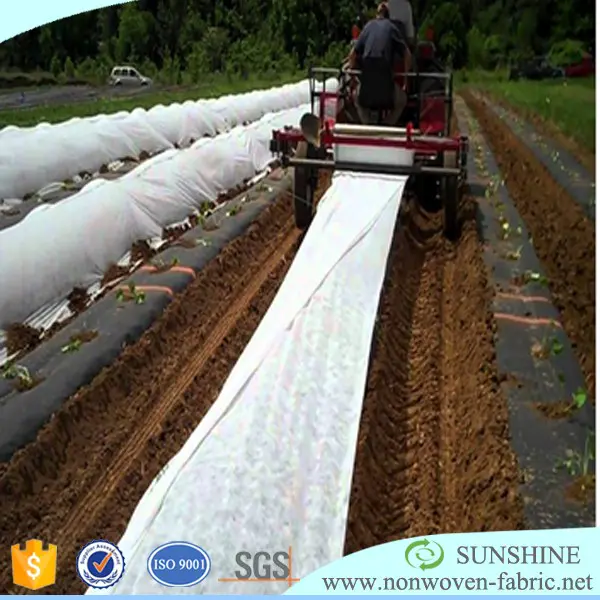 Spunbond 100% PP Nonwoven Fabric Non Woven Fabric Agriculture Price