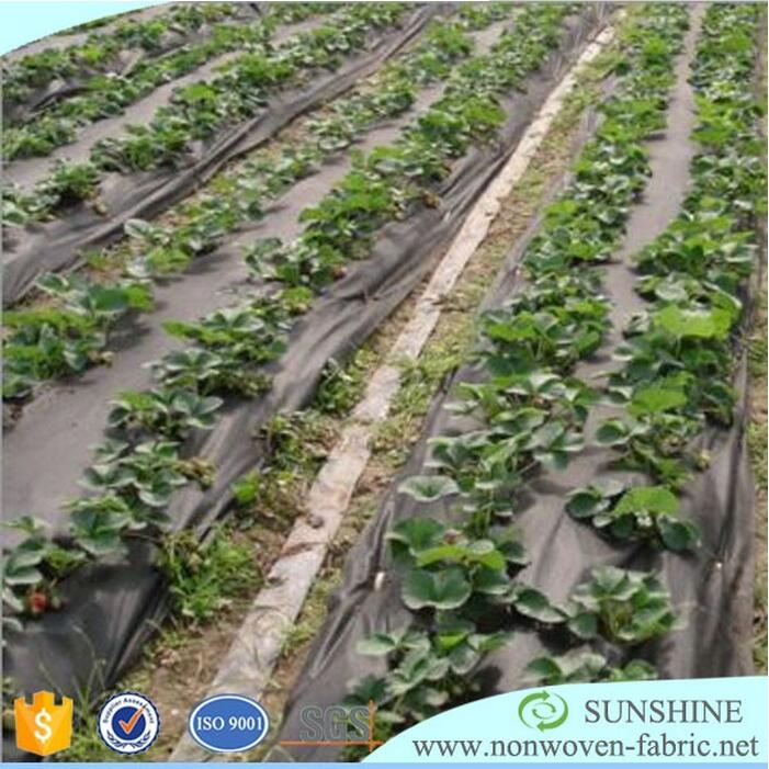 100% Pp Anti-Uv Agriculture Nonwoven Weed Control Fabric Weed Barrier