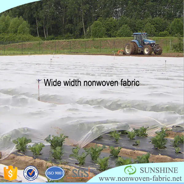 Agriculture Use Vigin PP Non woven Geotextile for Soli Reinforcement and Ground Cover/Weed Barrier Price