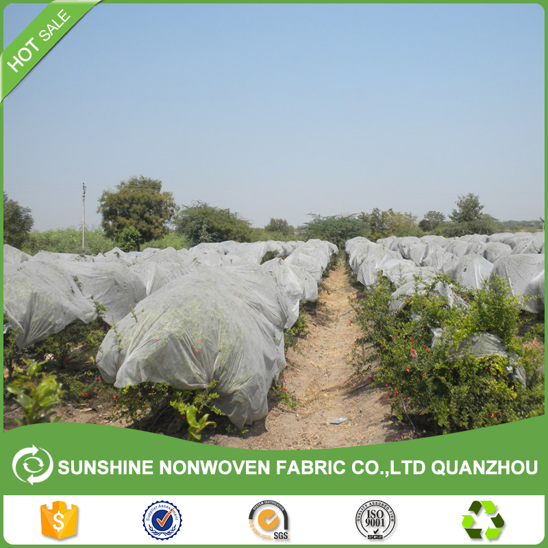 Cheap Price Greenhouse 20-60gsm Agriculture Nonwoven Fabric/ Non Woven Fabric for Agriculture